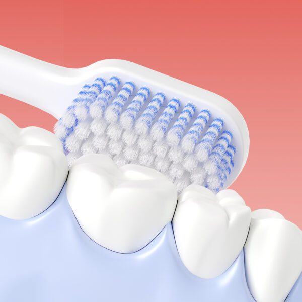 Escova Dental TOYADENT PRIME TY502 - Imagem 4