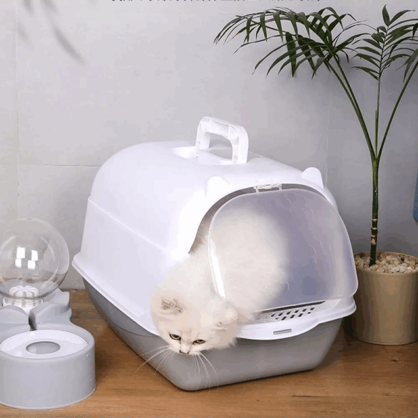 Caixa de areia para Gato B0180